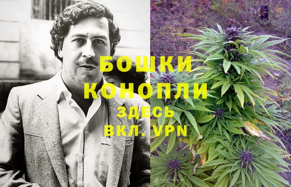 ешки Алзамай