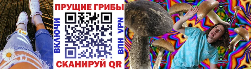 Псилоцибиновые грибы мицелий  продажа наркотиков  Павловская 
