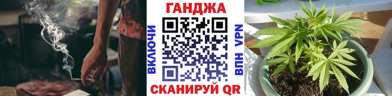 дарк нет Telegram закладка Павловская Бошки Шишки планчик